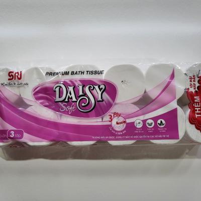 Album giấy vệ sinh 2