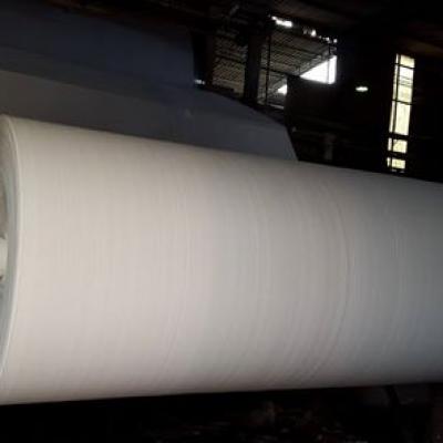 Phôi giấy vệ sinh